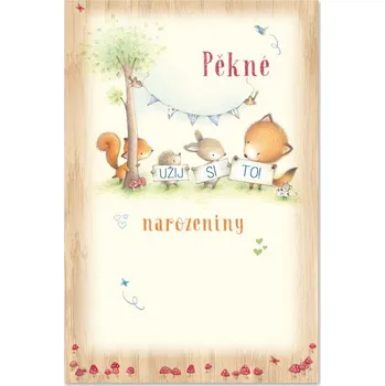 Ditipo Blahopřání GK - PĚKNÉ NAROZENINY užij si to (dětské) 6890323