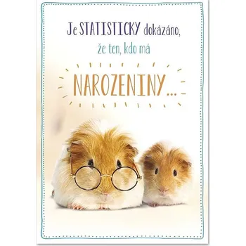 Ditipo Hrací přání STATISTIKA / Dagmar Patrasová 6680600