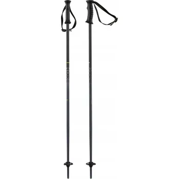 Sjezdová hůlka Dětské lyžařské hole HEAD KORE Team 100