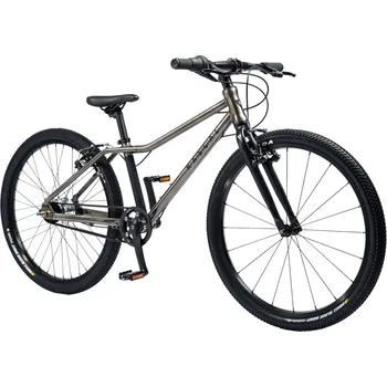 Dětské kolo Rascal 24" Sturmey Archer 5s Titan (šedá)