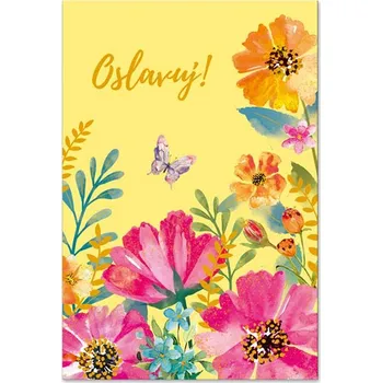 Kniha Ditipo Blahopřání L - OSLAVUJ! 6890248