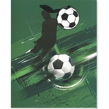 Dárková taška Albi Dárková taška L - FOTBAL, jeden hráč 7940203