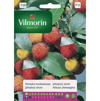 Semeno Vilmorin Jahodový strom 100 mg
