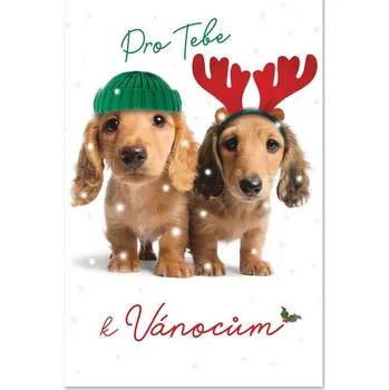 Ditipo Vánoční přání H - PRO TEBE K VÁNOCŮM (dva pejsci) v210034