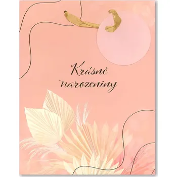 Dárková taška Albi Dárková taška M - TKB - KRÁSNÉ NAROZENINY 7950229