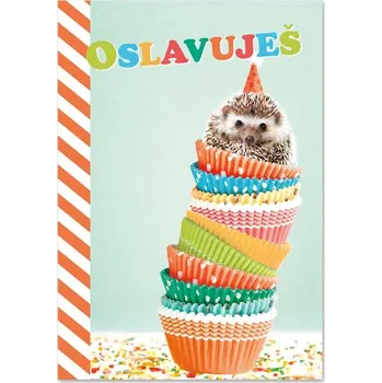 Ditipo Hrací přání dětské PONGO / Míša Růžičková 6680619