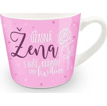Nekupto DC7 Dárkový hrnek ÚŽASNÁ ŽENA d410006