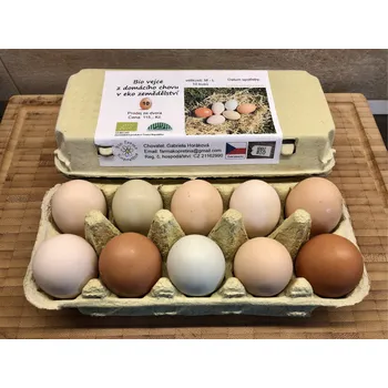 vejce BIO vejce - vel. M+L, 10 ks