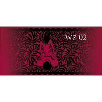 Dámské erotické prádlo CALZE ARS AMANDI-02 nero 1/2