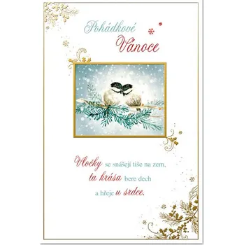 Ditipo Blahopřání K - Pohádkové Vánoce (sýkorky) v210107