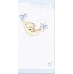 Ditipo Přání s kapsou na peníze - K narození chlapečka, 10x20cm 6690136