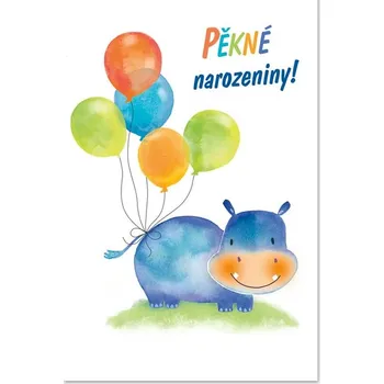 Kniha Ditipo Blahopřání GK - Pěkné narozeniny - HROCH 6890613