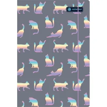 Desky s gumou A4 Astra