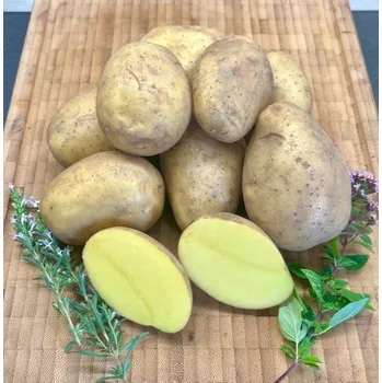 BIO brambory salátové Manuka- typ A-B , min. 2 kg