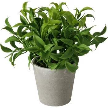 umělá květina UMĚLÁ ROSTLINA KAPRADINA V CEMENTOVÉM KVĚTINÁČI 17 CM ZELENÁ