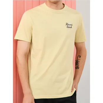 Pánské tričko Sinsay - Tričko s krátkým rukávem - zelená - 9338I-07X - 9338I-07X-3XL