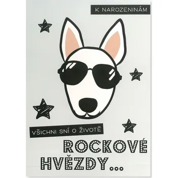 Albi Hrací přání VŠICHNI SNÍ O ŽIVOTĚ ROCKOVÉ HVĚZDY... 6680555