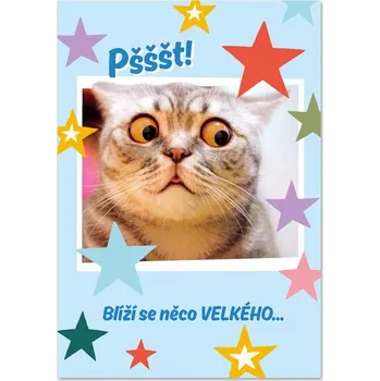 Ditipo Hrací přání s efektem TANČI DOKUD MŮŽEŠ / Mandrage 6680653