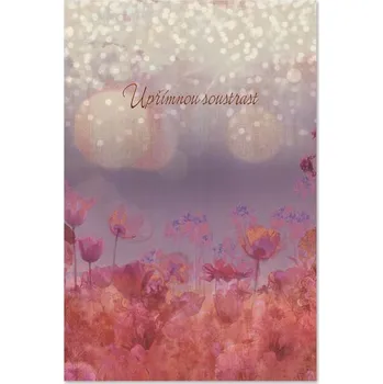 Ditipo Blahopřání K - Kondolence BEZ TEXTU, světlá 6890424