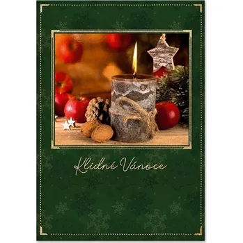 Ditipo Hrací přání vánoční ... SKOŘÁPKY OŘECHŮ / Marie Rottrová 6680498