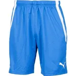 Pánské šortky Puma TEAM LIGA SHORTS FK MLADÁ BOLESLAV L Modrá, Bílá