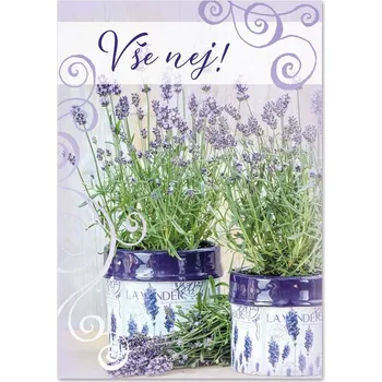 Kniha Ditipo Hrací přání Vše nej - NÁDHERNÁ LÁSKA (Che sara) / Pavel Novák 6680617