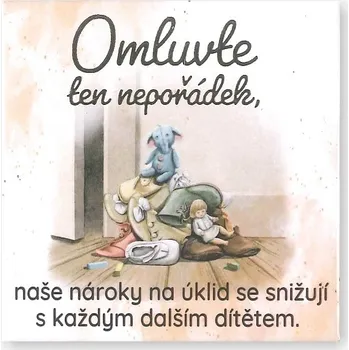 Dekorativní magnet Albi Magnetka s ražbou OMLUVTE TEN NEPOŘÁDEK... f030033