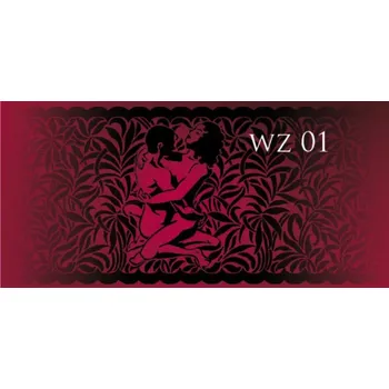 Dámské erotické prádlo CALZE ARS AMANDI-01 nero 1/2