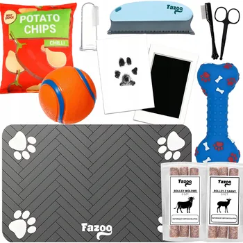 Hračka pro psa Gumový Míček pro psy Fazoo pro Míček na aportování, skákání a pískání, oranžový