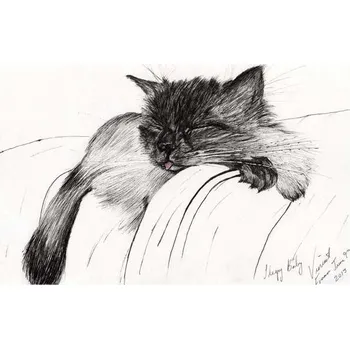 Plakát Plakát, Obraz - Sleepy Baby, 2013,, Vincent Alexander Booth