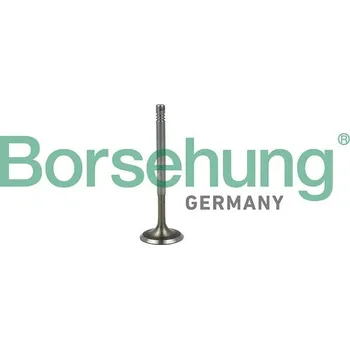 Auto-moto Sací ventil BORSEHUNG B19019