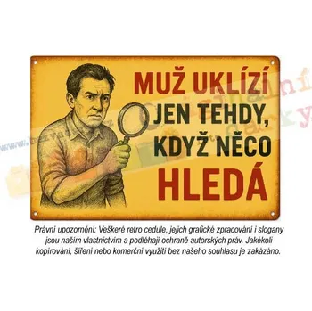 Plechová cedule cedule - muž v domácnosti 11 - Plast / A5 ( 20x15cm)