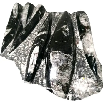 Orthoceras na desce - velký, krásný kus 1,5 kg