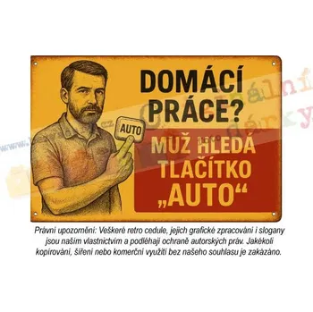 Plechová cedule cedule - muž v domácnosti 3 - Plast / A5 ( 20x15cm)