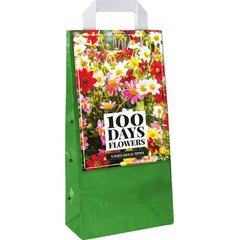 Cibulovina Taška - JIŘINA TOPMIX MIX (5 hlíz)