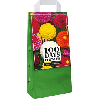 Cibulovina Taška - JIŘINA POMPON MIX (5 hlíz)