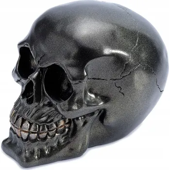 Obraz Metalická černá lebka - dekorativní figurka