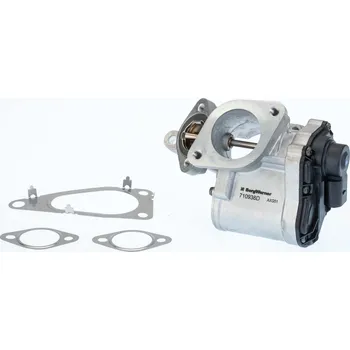 Autodíl AGR-Ventil BORGWARNER 710938D