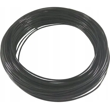 Filament Filament 100g Plastspaw PET-G 1,75mm Černý