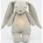 Moonie 2.0 The Humming Friend