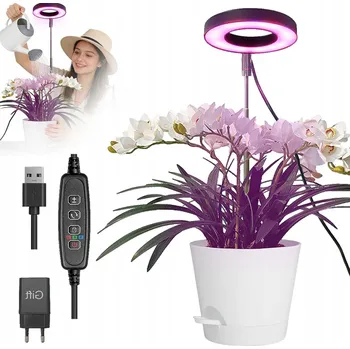 Osvětlení pro růst rostliny LAMPA PRO PĚSTOVÁNÍ ROSTLIN Pro Růst Osvětlení LED Žárovka Grow TIMER