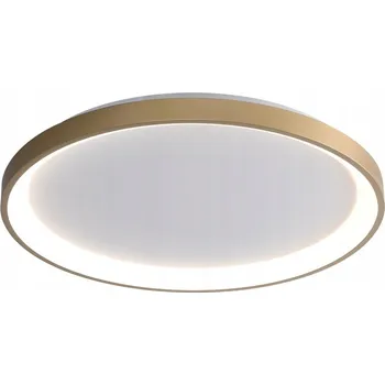 Stropní Svítidlo RADEN zlatý 40W LED 48cm Italux 3000K - 6500K 2400Lm CLN-3151-S-GD