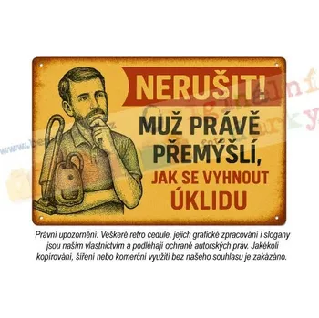 Plechová cedule cedule - muž v domácnosti 2 - Plast / A5 ( 20x15cm)