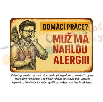 Plechová cedule cedule - muž v domácnosti 7 - Plast / A5 ( 20x15cm)