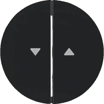 vypínač Berker Double Key se Symbol Arrow R.1/R.3 Black (16252045)