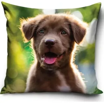 Povlak na polštářek Carbotex Povlak na polštářek Štěňátko Malý nezbeda 40x40cm