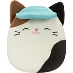 Squishmallows Plyšová Hračka Medvídek KOČKA S ČEPICÍ CAM 19 cm