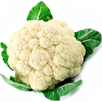 Květák bílý, 850g