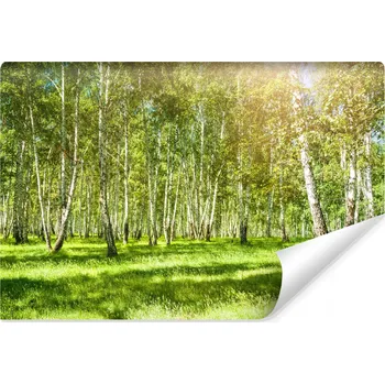 Fototapeta Fototapeta do obýváku LES Stromy Příroda 3D 135x90