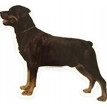 Obojek pro psa Silikonový obojek pro psa Trixie, velikost S